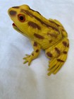 Vintage Squeaker Frog Rubber Toy New