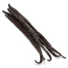 Gourmet Mexican Vanilla Beans  Grade A Planifolia