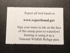 Wtdstamps -  rw93 2026 - Us Federal Duck Stamp   jim Hautman    Mint Og Nh -