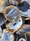 Oco Agate Geode Cut Halves And Slices - 1 Pound Lb - Solid Agate Tumbling Rough