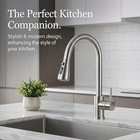 Kitchen Faucet Pull Down Sprayer Mixer Single Handle High Arc Brushed Nickel