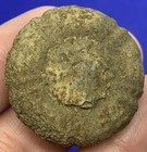 Very Rare Fossil Sea Urchin Suwannee County Florida River Echinoid Echinoidea 