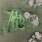 Antique Victorian Green Cloth Photo Album Metal Swallows Flowers Cabinet Cards