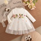 Premium Baby Girl Floral Embroidery Mesh Princess Dress   long Sleeve   6-9 Months