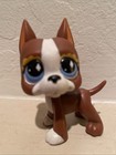 Littlest Pet Shop Great Dane Lps  Dog Hasbro Fanciest Diamond Eyes