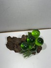 Vintage Mcm Lucite Grape Cluster On Driftwood Burl Mid Century Modern Green