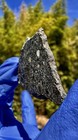 Meteorite  Tna 001 Weight 5 345 Grams