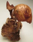 Hawaiian Hand Carved Tropical Wood Mushrooms On A Log Forest Sculpture