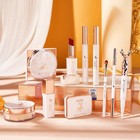 Luxury Makeup Set Kit With 3 Lipsticks  12 Makeup Brushes   Elegant Gift Box