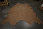 Dusty Sanded Brown Leather Hide Upholstery Whole Full Cow Hide 45 Square Feet