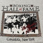 Rocky Marciano Shirt Vintage 90s Boxing Hall Of Fame Usa Champion Mike Tyson