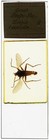 Antique Microscope Slide By Russell - Great Snipe Fly Insect