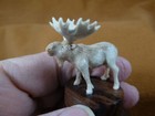 Moo-w55 X-small White Moose Elk Bull Standing Shed Antler Figurine Bali Detailed