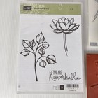 New Stampin  Up  Remarkable You  Stamp Set 139894