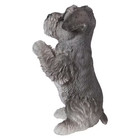 Schnauzer Puppy Praying Garden Statue