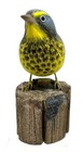 Beautiful Bird Carving  Canada Warbler  Life-size   Realistic L  k   