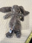 Jellycat Bashful Woodland Babe Bunny Plush 12  Medium Authentic Us Seller New