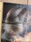 Monkees Two Sided Poster Davy Jones Micky Dolenz The Monkees Music Rare