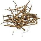 Devil s Shoestring Root - 28 Grams