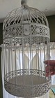 Victorian Style Painted White Round Birdcage     16  Tall X 8  Diameter 