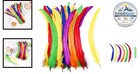 Rooster Tail Feathers Multicolor 50 Pcs 10-12 In Natural Craft Costume Decor