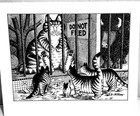 B Kliban Vintage Print  cats At The Zoo  June 1980 Cat Calendar Book 1981 