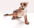 Breyer Classic 2001 Rearing Red Roan Stallion And Fawn Cougar