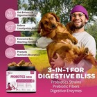 Probiotics For Dogs - Dog And Digestive Enzymes 120 Soft Chews 