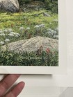 Bev Doolittle Music In The Wind Hand Signed Lithograph With Coa
