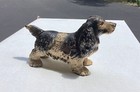 Antique Cast Iron Dog Still Bank    Spaniel   With Very Good   Original Paint