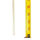 Lobster Tickle Stick- 36  