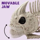 Joyin 2 Pcs 9 5 Halloween Posable Fish Skeleton Inches  Plastic-colored