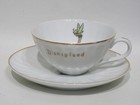 Unique Disney Disneyland Porcelain Cup saucer  tinkerbell sleeping Beauty Castle
