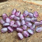Vintage Glass Beads 30 Small 5mm  Purple Pink  Porphyr Style Spacers