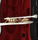 Silver Gold-plated Professional New C Trumpet Horn Monel Valves With Hard Case