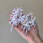 Alien Metal Conch Hair Claws For Women Girl  Headwear Shell Crab Hair Clip