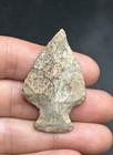 Best Of Best Onondaga Perkiomen- Pa Artifact- Ny Arrowhead-x Summers- Avon Ny