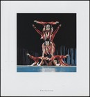 Cirque Du Soleil  souvenir Program  1998 