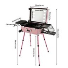 Professional Cosmetic Travel Case Vanity Organizer Rolling Makeup Train Case