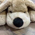 Fao Schwarz Patrick The Pup Dog Plush 20  Large Stuffed Animal