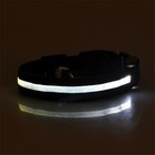 New Led Light Up Dog Pet Night Safety Bright Flashing Adjustable Nylon Collar