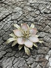 Hroar Prydz Pink Flower Brooch Sterling Silver Enamel Norway Norwegian Vtg 2217