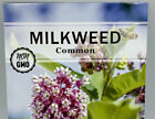 Common Milkweed  Flower Seeds Packet 1 2 Gram By Sow Right Seeds  New