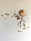 14kt Gold Filled Round Seamless Bead 2mm  500pcs