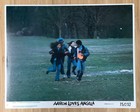 11 Assorted 1970s-era Original Color Movie Stills Bulk Lot  g  Abby black Rodeo