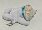 Vintage 1993 Hasbro Puppy Surpise Boy  Poodle Runt Replacement Puppy Dog