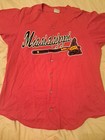 Mississippi Braves Aa Game Worn Used Jersey  20 Atlanta Braves Milb Sz 44 Mlb