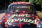 Silk Rose Petals Wedding 1000 Brown Bulk Table Confetti Artificial Flower Usa