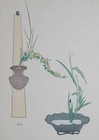 Mallow   Iris   Japanese Woodblock Print Art Ikebana Flower Arrangement