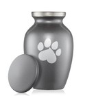 Pet Urn For Dog   Cat Ashes - Brass Cremation Memorial Extra Small Gray Urn
